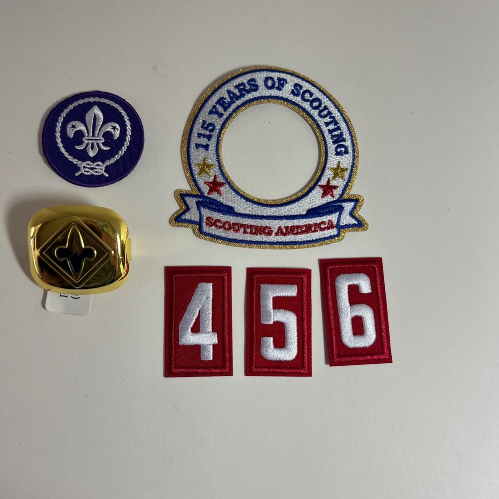 Boy Scouts 115 Years Scouting Badge, Slide Neck Webelos, Scout Emblem, #s NIP